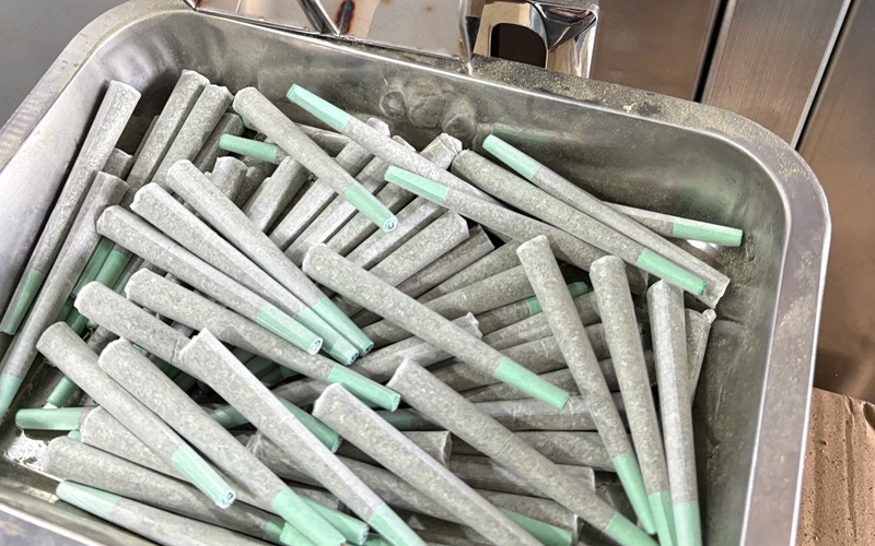 Pre Rolled Cones Filled By Pfm 03.pn