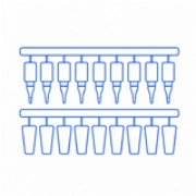 Pfm07 10 Head Filling System